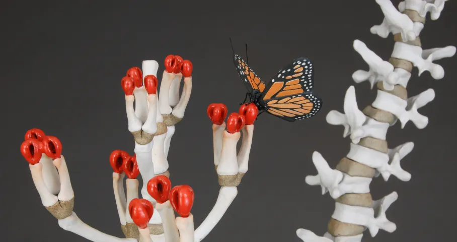 Elaine Quave's artwork butterfly on milkweed sculpture